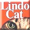 Lindocat 5 x 20 kg  TARJOUS  (a 17,00�/20kg) 85,00�