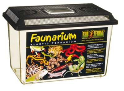 EXOTERRA Faunarium 4 Large (37x22x24.5 cm)