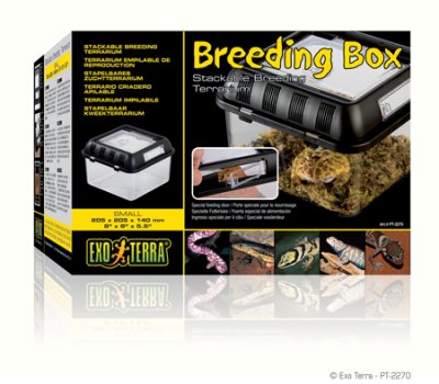 EXOTERRA Breeding Box Small (20.5x20.5x14 cm)