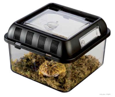 EXOTERRA Breeding Box Small (20.5x20.5x14 cm)